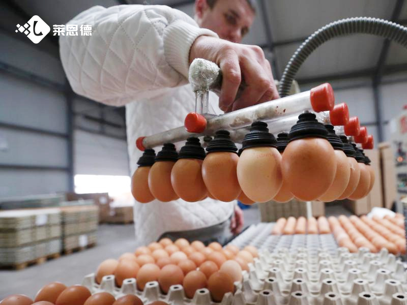 氟苯尼考检测仪选哪家?看完这几条不纠结